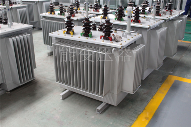 宁德S22-250KVA/10KV变压器